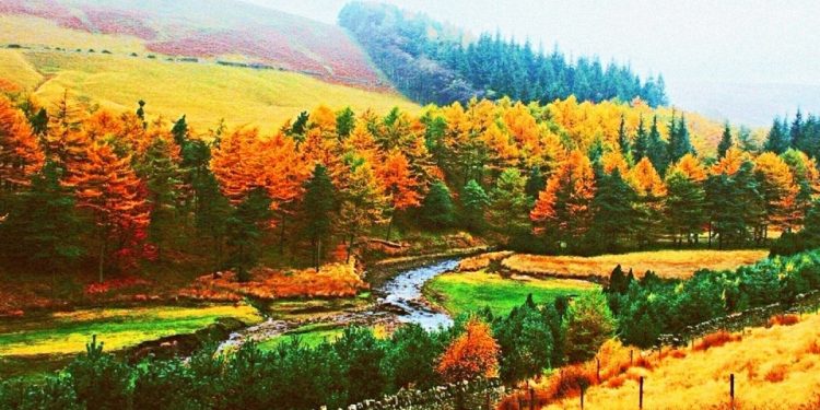 Сэр сэр салхинд хатсан навчис хийснэ…