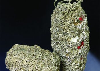 ХУБИЛАЙ ХААНЫ ЦЭРГИЙН УСНЫ САВ