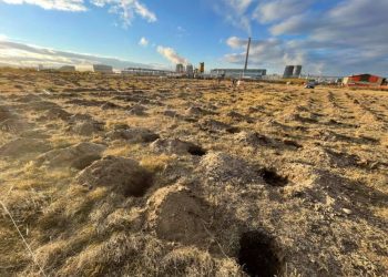 “Тэрбум мод” тарих хөдөлгөөнийг эхлүүлж, дүүрэг бүрд 3000-5000 нүх ухжээ