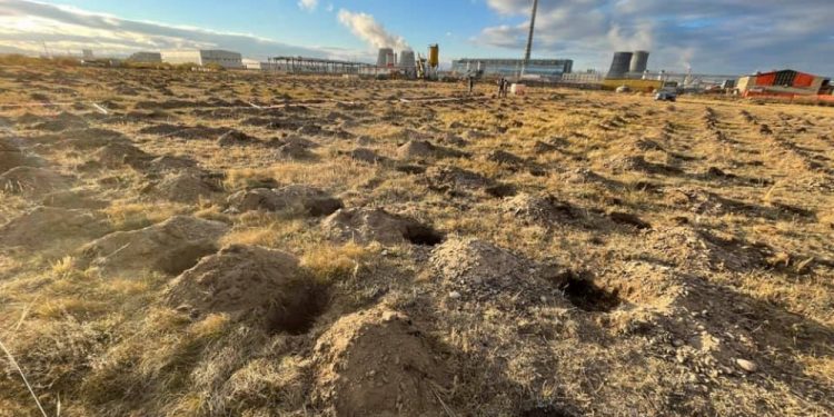 “Тэрбум мод” тарих хөдөлгөөнийг эхлүүлж, дүүрэг бүрд 3000-5000 нүх ухжээ