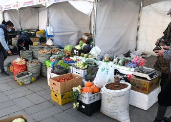 “Намрын ногоон өдрүүд” арваннэгдүгээр сарын 1-нийг хүртэл үргэлжилнэ