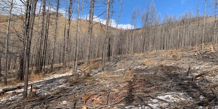 УРГАХ ЧАДВАРАА БҮРЭН АЛДСАН ОЙД ЦЭВЭРЛЭГЭЭ ХИЙЖЭЭ