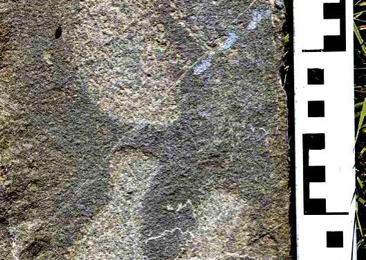 4500 жилийн тэртээх хүний мөр