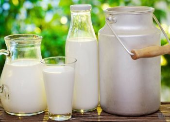 СҮҮН МАЦАГ ХОРТ БОДИСЫГ БИЕЭС ГАДАГШЛУУЛДАГ