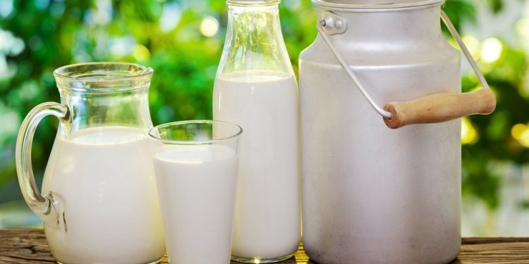 СҮҮН МАЦАГ ХОРТ БОДИСЫГ БИЕЭС ГАДАГШЛУУЛДАГ