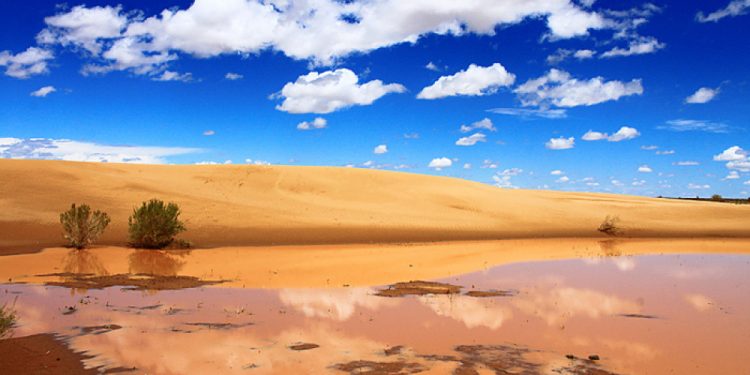 Монголын говьд энэ онд сүүлийн 40 жил байгаагүй хур тунадас оржээ