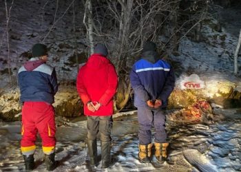 60 гаруй үхрийг гурван этгээд бэлчээрт нь бөөгнүүлж, нэг үхрийг төхөөрч байхад нь барьжээ