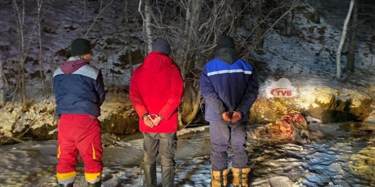 60 гаруй үхрийг гурван этгээд бэлчээрт нь бөөгнүүлж, нэг үхрийг төхөөрч байхад нь барьжээ