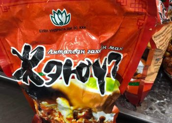 “БУЯН УНДАРГА ДИ ЭС” ХХК-Д ХУГАЦААТАЙ АЛБАН ДААЛГАВАР ХҮРГҮҮЛЛЭЭ