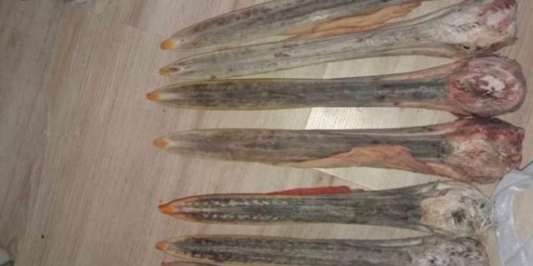 “Хотон шувууны хошуу зарна“ гэсэн мэдээллийг шалгаж, зарыг устгуулжээ