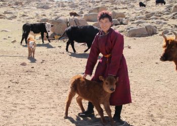 МАЛЧИН ЭМЭГТЭЙ Ч.ЦЭГМИД УЛААНБААТАР ХОТ ХҮРТЭЛ 790 КМ ЗАМЫГ ГҮЙЛТЭЭР ТУУЛАХААР ГАРААНААС ГАРЛАА