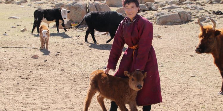 МАЛЧИН ЭМЭГТЭЙ Ч.ЦЭГМИД УЛААНБААТАР ХОТ ХҮРТЭЛ 790 КМ ЗАМЫГ ГҮЙЛТЭЭР ТУУЛАХААР ГАРААНААС ГАРЛАА