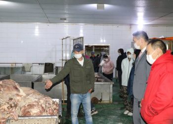 НМХГ: “Эм Ди Си Пи“ компани мах экспортод гаргах зөвшөөрөлгүй нь тогтоогдлоо