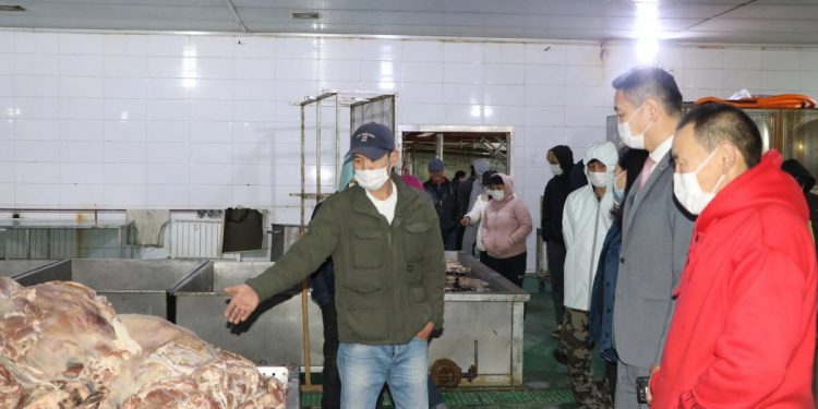 НМХГ: “Эм Ди Си Пи“ компани мах экспортод гаргах зөвшөөрөлгүй нь тогтоогдлоо