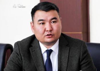 Д.Болд: Эрээн-Хавкан жимс, нарийн ногооны терминалаас ачилт хийж эхэлснээр 15 вагон орж ирсэн