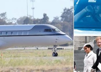 Харри, Меган Маркл хоёрыг “хоёр нүүртэн” гэж буруутгав