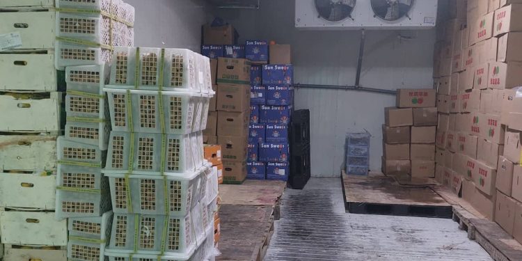 НЭР БҮХИЙ КОМПАНИЙН ИМПОРТОЛСОН ЖИМС, ЖИМСГЭНЭД ЛАБОРАТОРИЙН ШАЛГАЛТ ХИЙВ