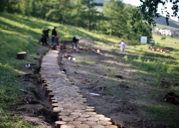 Dugui Tsagaan area being landscaped using dead trees removed from forest