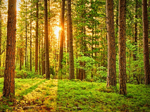 ЭС ЭНД ПИ АГЕНТЛАГ МОНГОЛ УЛСЫН ЗЭЭЛЖИХ ЗЭРЭГЛЭЛИЙН ҮНЭЛГЭЭГ “B”, ТӨЛӨВИЙГ “ТОГТВОРТОЙ” ХЭВЭЭР ҮЛДЭЭСНИЙГ БАТАЛГААЖУУЛЛАА