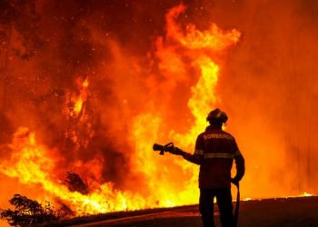 Түүхэнд байгаагүй халуун өдрүүд тохиож байна