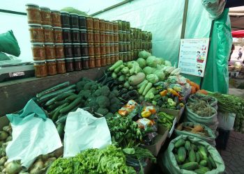 17 байршилд хүнсний ногооны үзэсгэлэн худалдаа гарлаа