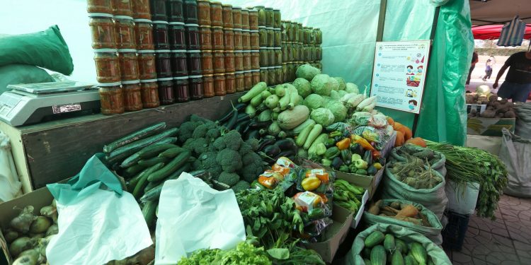 17 байршилд хүнсний ногооны үзэсгэлэн худалдаа гарлаа