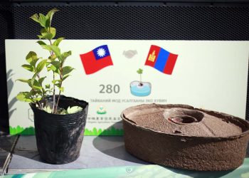 Хөрсөнд задарч шингэдэг эко хувин ашиглан мод тарив