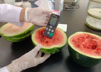 ТАРВАС, ХҮНСНИЙ НОГООНД ШИНЖИЛГЭЭТ ХЯНАЛТ ХИЙЖ БАЙНА