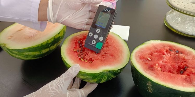 ТАРВАС, ХҮНСНИЙ НОГООНД ШИНЖИЛГЭЭТ ХЯНАЛТ ХИЙЖ БАЙНА