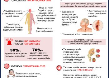 Тархины цус харвалтын тусламж, үйлчилгээг ЭМД-аас бүрэн хариуцна