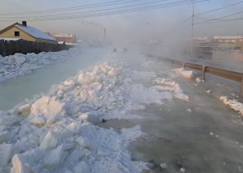Халиа тошин үүсэж буй байршлуудад шуурхай арга хэмжээ авч байна