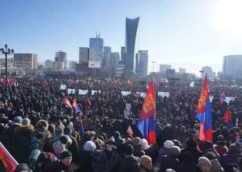 “АРД ТҮМЭН” БОЛ НОХОЙД БАРЬДАГ МОД