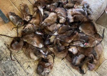 ХУУЛЬ БУСААР 67 ШИРХЭГ ОНДАТАР ТЭЭВЭРЛЭЖ ЯВСНЫГ шалгаж байна