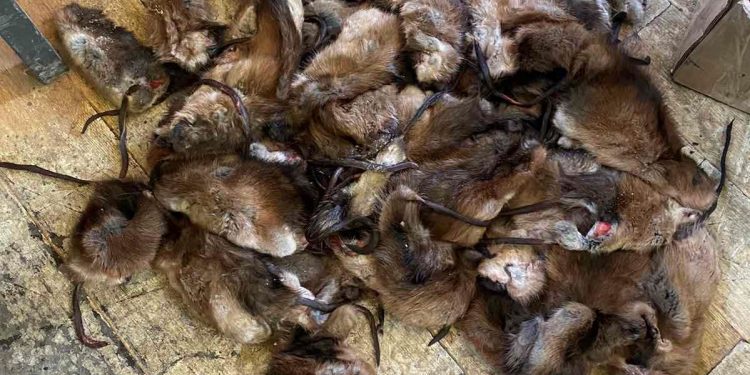 ХУУЛЬ БУСААР 67 ШИРХЭГ ОНДАТАР ТЭЭВЭРЛЭЖ ЯВСНЫГ шалгаж байна