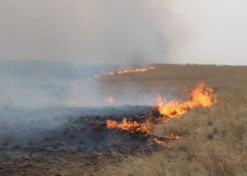 Он гарсаар 8 удаагийн хээрийн түймэр бүртгэгдээд байна