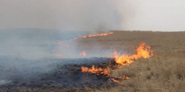 Он гарсаар 8 удаагийн хээрийн түймэр бүртгэгдээд байна