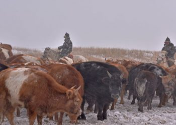 ИРГЭДЭД УЧИРЧ БОЛОХ 1,02 ТЭРБУМ ТӨГРӨГИЙН ХОХИРЛООС УРЬДЧИЛАН СЭРГИЙЛЖЭЭ