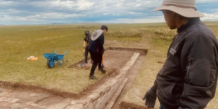 Тогоонтөмөр хааны туурьт Япон эрдэмтэй хамтран археологийн судалгаа явуулж байна