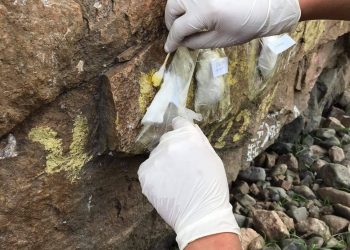 Хад чулуун дээр бичиж зурвал 500000 төгрөгөөр торгоно