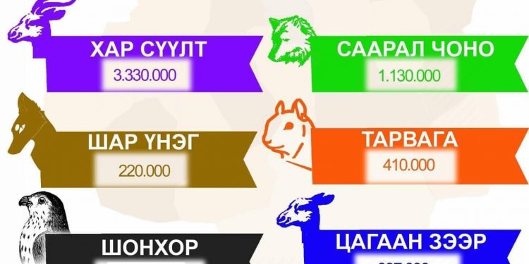 Аргаль 22 сая, шонхор 16 сая төгрөг боллоо