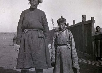 Өндөр Гонгорт зориулсан гэрэлт хөшөөг үр ач нь босголоо