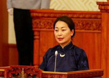 УИХ-ын гишүүн П.Анужингийн адуу мал өсжээ