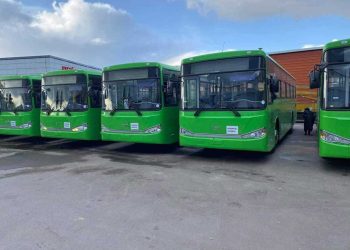 Шог зохиолч хулгай хийхээр гарлаа