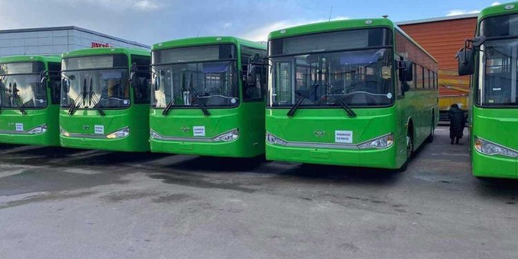 Шог зохиолч хулгай хийхээр гарлаа