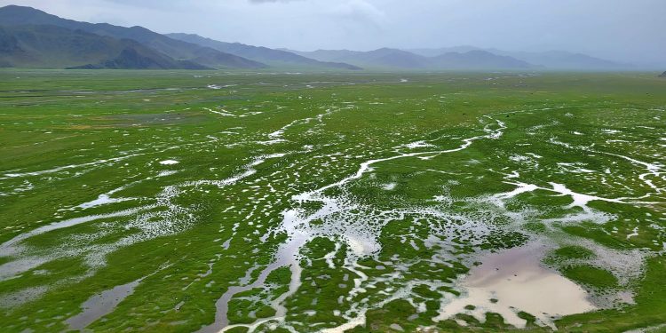 2022 онд усны төлбөрт нийт 50 тэрбум төгрөг ус ашигласны төлбөрөөс төвлөрчээ