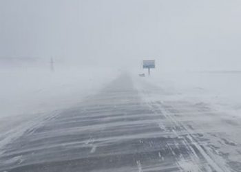 ИХЭНХ НУТГААР ЦАСАН ШУУРГА ШУУРЧ, ЭРС ХҮЙТРЭХИЙГ АНХААРУУЛЖ БАЙНА