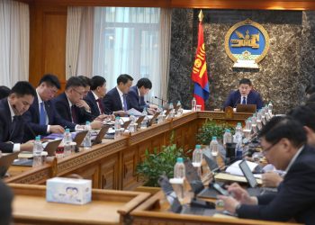 2012 оны дөрөвдүгээр сарын 11-нээс хойш төрсөн Монгол Улсын иргэдэд “Эрдэнэс Тавантолгой”-н 1072 хувьцааг эзэмшүүлнэ