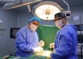 БНТУ-ЫН ЭМЧ МЕХМЕТ АЙДОГАН ГССҮТ-ТЭЙ ХАМТАРЧ НУРУУНЫ ХҮНД ХЭЛБЭРИЙН МУРИЙЛТТАЙ 2 ХҮҮХДЭД МЭС ЗАСАЛ ХИЙЛЭЭ