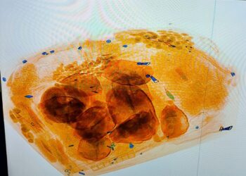 “СУВИНЕР, ХУВЦАС, ШИНЭ ЖИЛИЙН ТОГЛООМ” ГЭЖ ГААЛЬД МЭДҮҮЛСЭН БАРААНД АМЬД МОГОЙ, ЯСТ МЭЛХИЙГ НУУСАН БАЙЖЭЭ