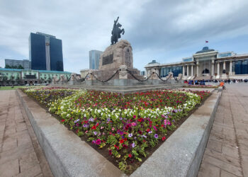 Нийслэлийн таван дүүргийн 20 байршилд 15 нэр зүйлийн 321 мянган цэцэг суулгана